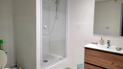 une salle de bain avec douche et lavabo dans l'établissement Appartement 3 chambres centre historique, au Puy-en-Velay