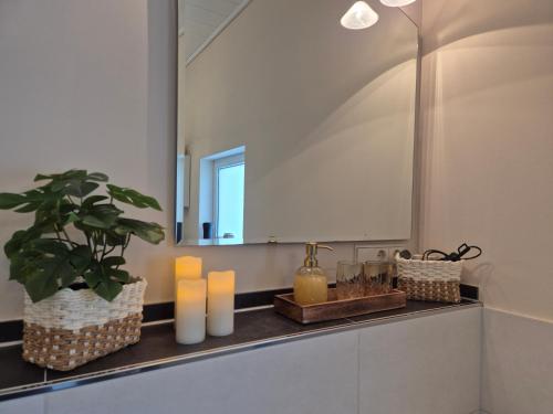 a bathroom with a mirror and a plant on a counter at Gemütliches Loft mit Terrasse im ehemaligen Bahnhof Kalenborn in Vettelschoß