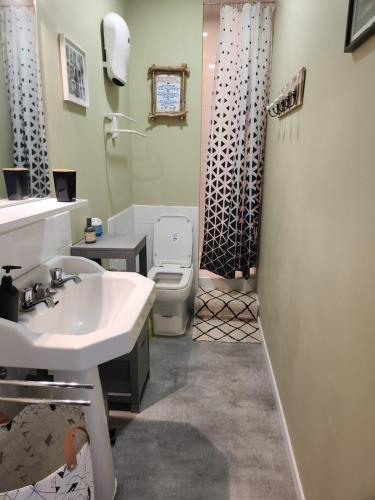 une salle de bain avec un lavabo, des toilettes et une douche dans l'établissement Gîte en Dordogne chez les Couz 'hôtes du Périgord, à Couze-et-Saint-Front