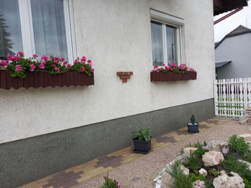 Zahrada ubytování Alfa Apartman