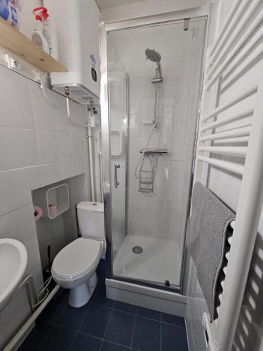 une salle de bain avec une douche, des toilettes et un lavabo dans l'établissement proche centre calme jardin privé, à Nantes