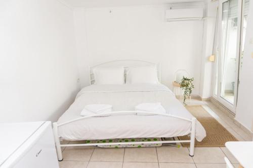 Dimitra's cosy studio in old town with backyard