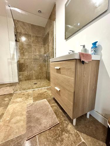 une salle de bain avec un lavabo et une douche dans l'établissement T2 - Tendance avec place de parking devant la porte d'entrée, à Orléans