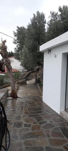a stone walkway with a tree next to a building at Vounios house in Manganítis