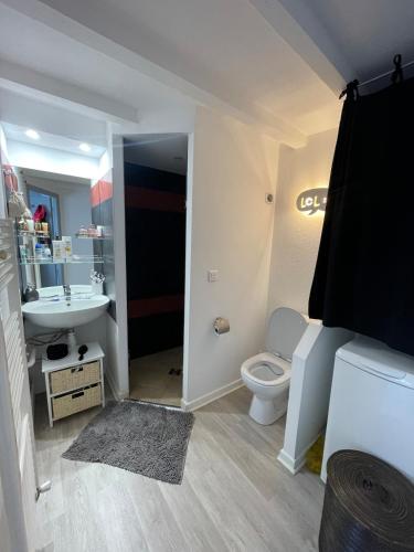 une salle de bain avec des toilettes blanches et un lavabo dans l'établissement Duplex cosy, à Vesoul