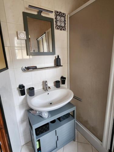 une salle de bain avec un lavabo et un miroir dans l'établissement Maison en pierre Chez Sorel, à Couze-et-Saint-Front