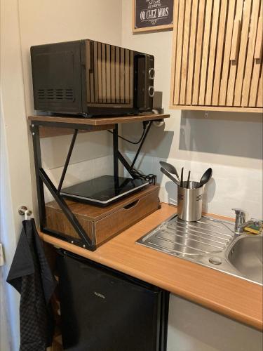 Un four micro-ondes est installé sur un comptoir à côté d'un évier. dans l'établissement Appartement calme et cosy, à Tarbes