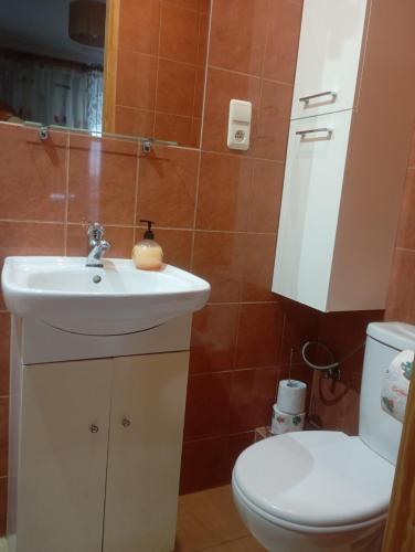 Bilik mandi di Pokoje PRZY SZELMENCIE