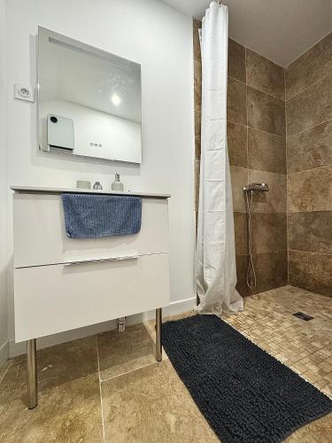 une salle de bain avec un lavabo et une douche dans l'établissement Spacieux et atypique avec place de parking devant la porte d'entrée, à Orléans