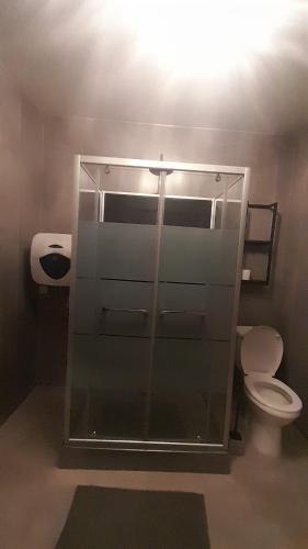 a bathroom with a toilet and a glass wall at La closerie aux écureuils in Limeux