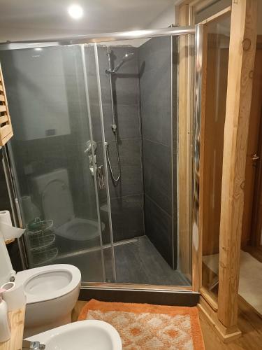 a bathroom with a glass shower with a toilet at Appartamento montano in Druogno