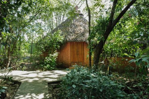 a small house in the middle of a forest at Mundo Milo Eco Lodge in Playa Junquillal