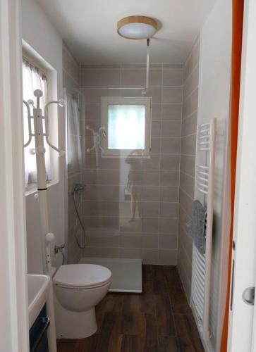 une salle de bain avec toilettes, lavabo et douche dans l'établissement Etchehassia, à Cambo-les-Bains