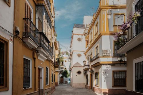 Sevilla DosTorres photo 34