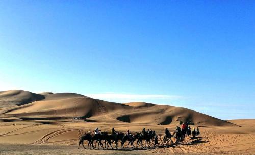 ラグジュアリーテントの近くで見られる自然の景観