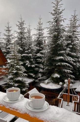two cups of coffee on a table in front of snow covered trees at Apartmán Stanka 003 in Tatranska Strba