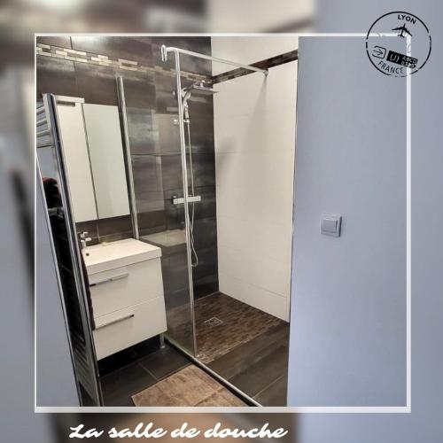 Koupelna v ubytování Appartement Tassin Centre - 15' de Lyon - 1 Parking