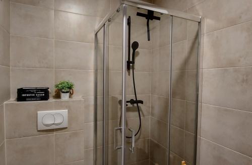 una doccia con una porta in vetro in un bagno di FOREST SIDE Apartmani a Divčibare