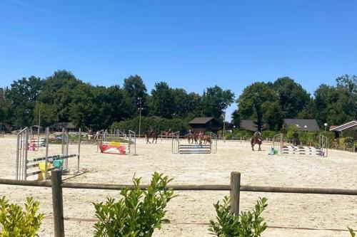 a group of horses are playing in a fenced in arena at Magnifique chalet au calme total in Réau