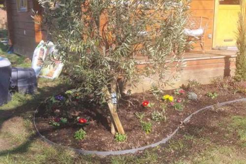 a garden with a tree and flowers in a circle at Magnifique chalet au calme total in Réau