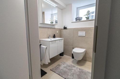 baño con aseo y lavabo y 2 ventanas en FeWoMo Stilvolles EG Appartment, Brauneberg, 4 Pers, Boots Slipanlage, Moselradweg, Seniorengerecht, en Brauneberg