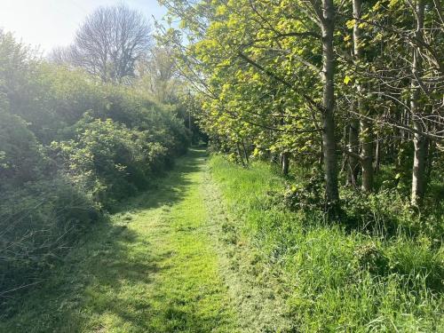 a path through a field with trees and grass at Cowshed - Duffys Ballybin 4-star in Ashbourne