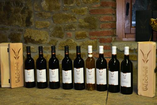 a group of wine bottles lined up against a wall at Tenuta Valdomini in Attimis