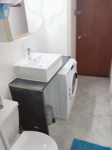 une salle de bain avec un lavabo et une machine à laver dans l'établissement Appartement charmant à Saint-Jean-de-Monts 25m² avec terrasse, à Saint-Jean-de-Monts