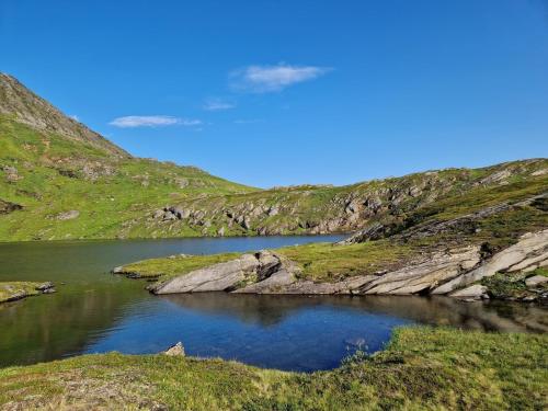 a lake in the middle of a grassy hill at Cabin with lovely view in Lakså