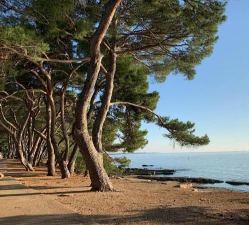 Excellent studio MIA