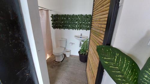 a bathroom with a toilet and a sink and plants at Hostel Cielo y Tierra Vergara in Vergara