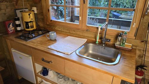 a kitchen counter with a sink and a window at Tiny House Bad Nieuweschans in Bad-Nieuweschans