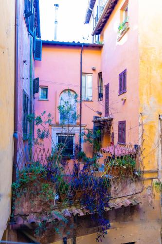 Domus Pellegrino heart of ROME
