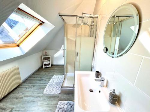 a bathroom with a sink and a mirror at Le papillon,Logement cosy en Alsace in Erstein