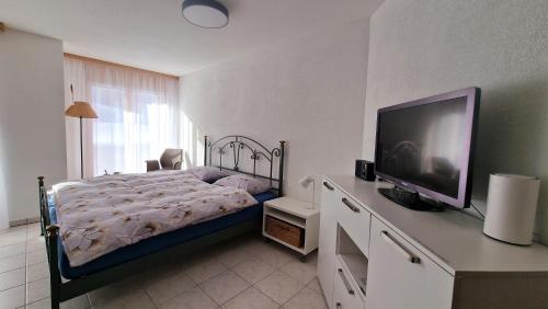 TV a/nebo společenská místnost v ubytování An der Langlaufloipe - Studio Arnica