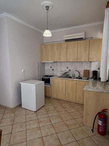 a kitchen with wooden cabinets and a white refrigerator at Esperia Studios in Tsoukaladhes