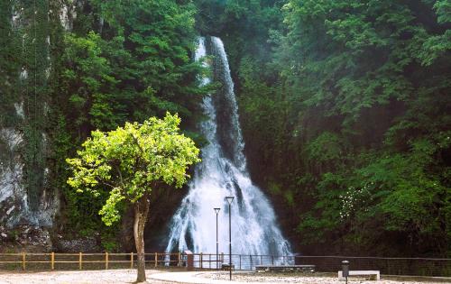 a waterfall in the middle of a forest with a tree at Vallategna Apartment Lake Como and Mountains in Asso