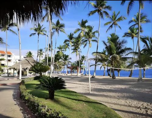 una playa con palmeras y una red de voleibol en Apartamento Playa Juan dolio, en Villas del Mar
