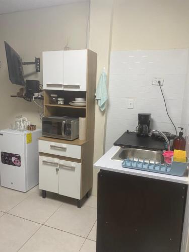 a kitchen with a sink and a microwave at D'Rosas Apartments in Santiago