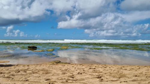 Paysage naturel près de l'appartement
