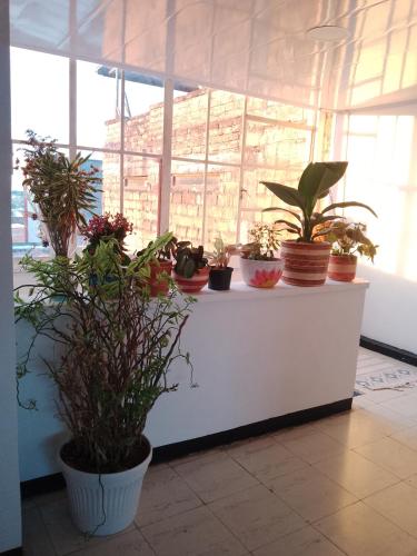 Gallery image of Habitación Central en Santa Rosa de Cabal Termales in Santa Rosa de Cabal