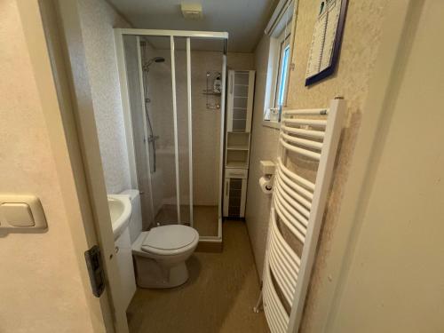 a small bathroom with a toilet and a shower at Chalet op Ameland voor 5 personen in Buren