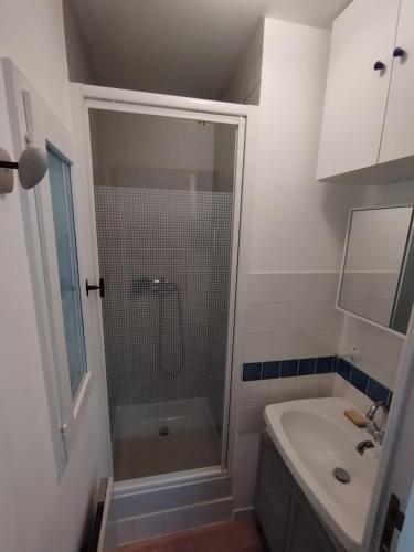 une salle de bain avec douche et lavabo dans l'établissement Maisonette au calme, à Saint-Pierre-du-Perray