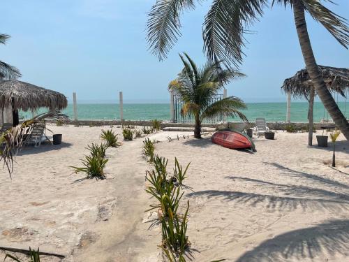 a beach with palm trees and a red boat on the sand at SandyToes La Casita del Mexicano in Celestún