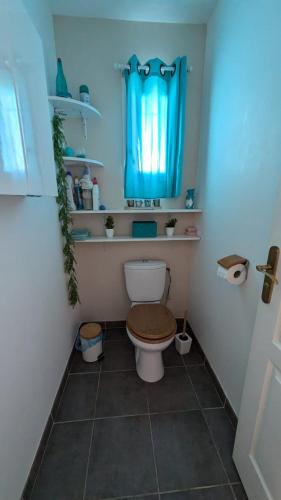 La salle de bains est pourvue de toilettes et d'une fenêtre bleue. dans l'établissement La Villa de la Mer pour 10, à Gruissan