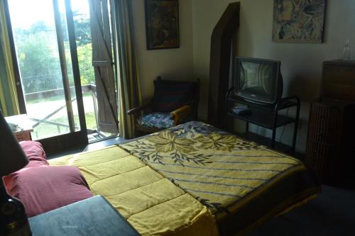 a bedroom with a bed and a tv and a window at El bastión in Nueva Palmira