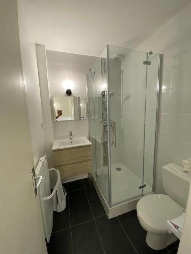 une salle de bain avec une douche, des toilettes et un lavabo dans l'établissement Gite de l'Albizia, à Ouzouer-sur-Loire