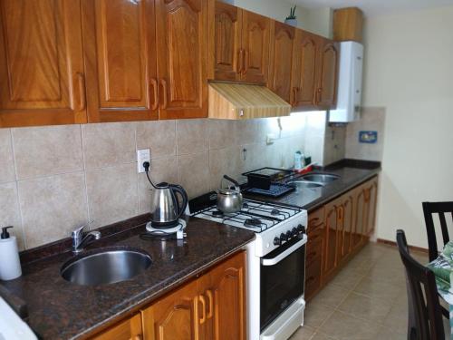 eine Küche mit Holzschränken, einem Herd und einer Spüle in der Unterkunft Depto Córdoba centro 4 ambientes in Cordoba