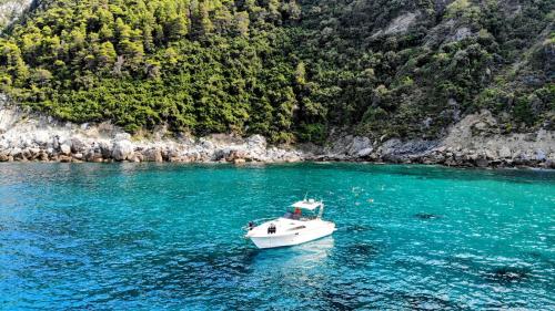 Příroda nedaleko ubytování na lodi