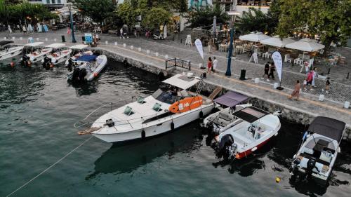 Výhled na řeku, která protéká v blízkosti ubytování na lodi